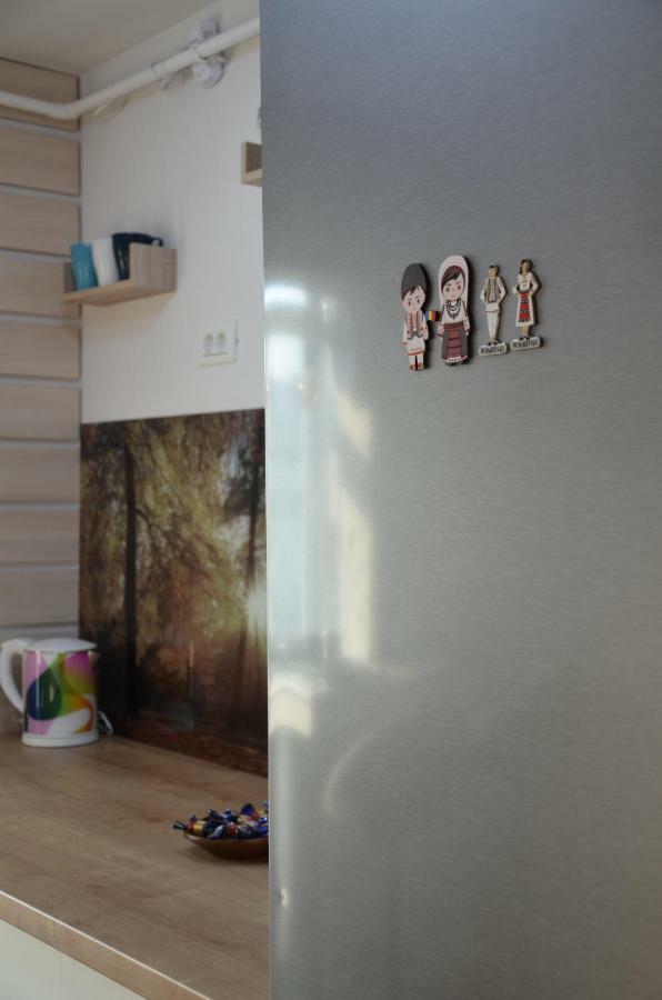 Modern And Cozy Apartment Piteşti Kültér fotó